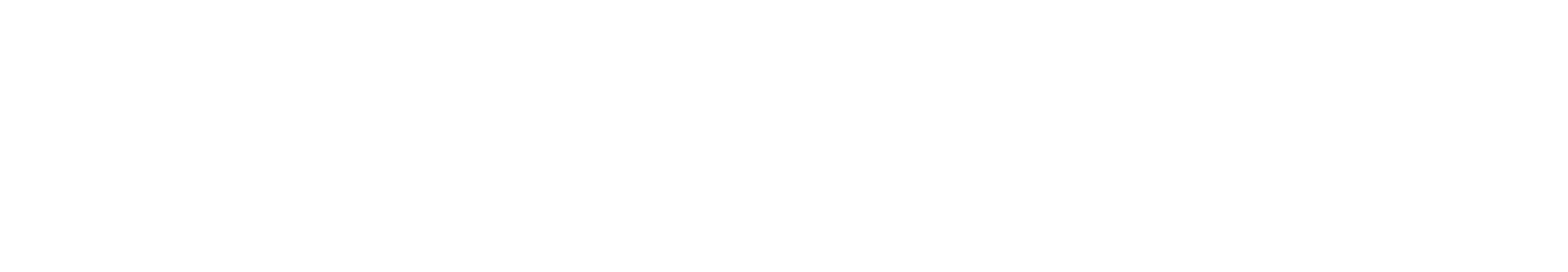 logo light